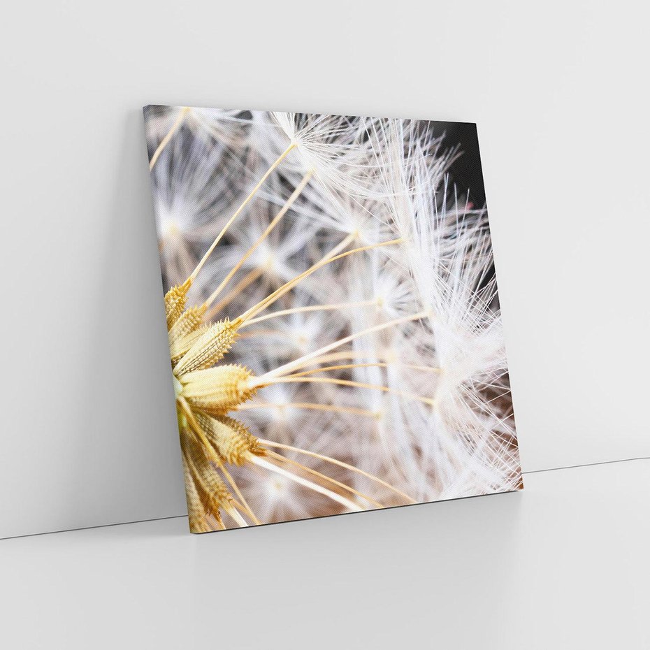 Obraz na płótnie 80x80 - Dmuchawiec: lekkość natury - dmuchawiec, natura
