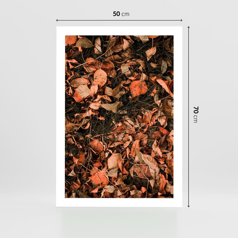Plakat bez ramy 50x70 - Jesienny Splot: Pomarańczowe Liście - liście, pomarańczowe suche liście