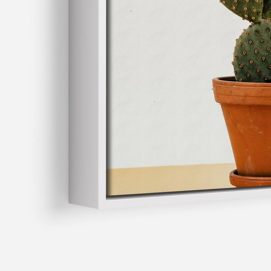 Obraz w ramie 80x80 - Kwiatowy taniec kaktusa - kaktus, kwiat - rama biała