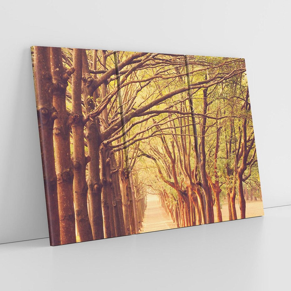 Obraz na płótnie 120x80 - Wędrówka między drzewami - droga, drzewa