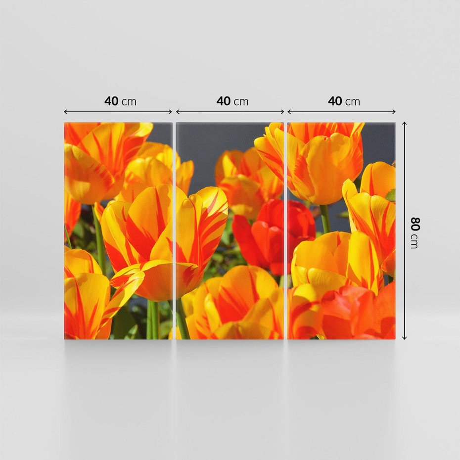 Obraz na płótnie 120x80 - Kwiatowa Harmonia - kwiaty, kwiat