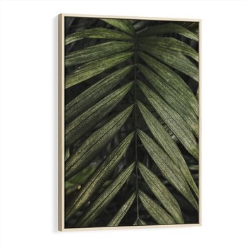 Obraz w ramie 50x70 - W Liściach Ukryte - zdjęcie, fotografia - rama drewno