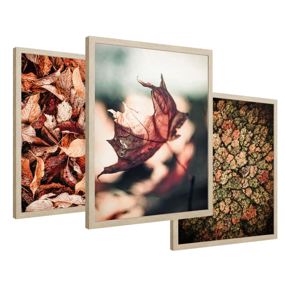 Zestaw obrazy w ramie 50x70 galeria - Jesienny, las, liście - rama drewno