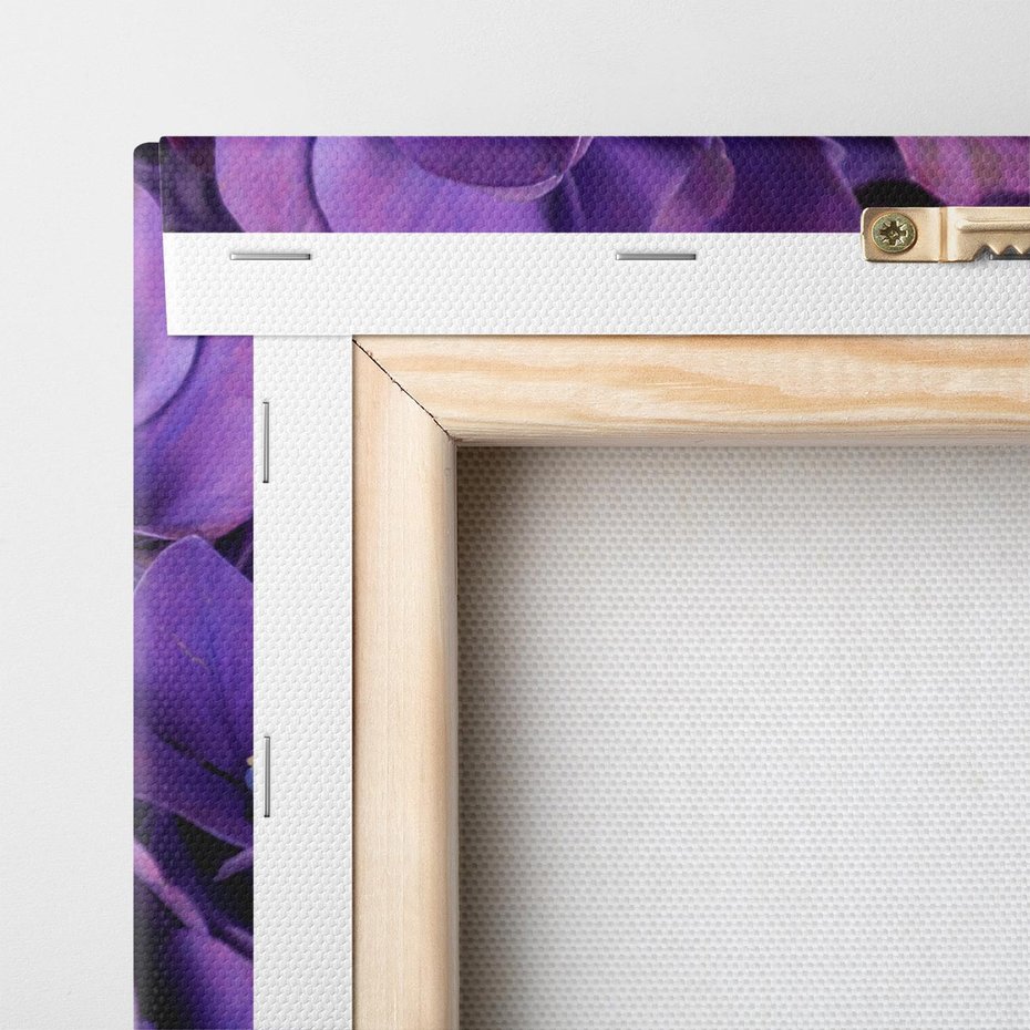 Obraz na płótnie 60x60 - Fioletowa hortensja - kwiaty, hortensja