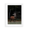 Plakat w ramie 50x70 - Spotkanie z naturą - jeleń, las - rama biała