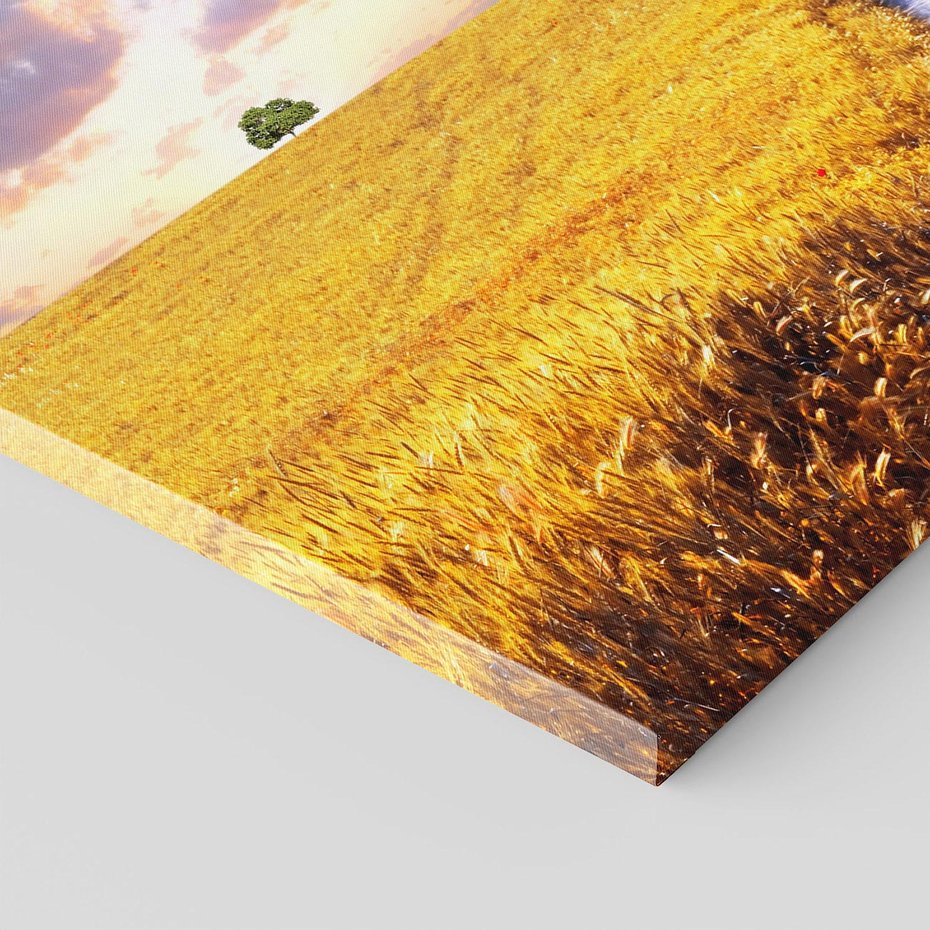 Obraz na płótnie 80x120 - Magiczna droga w lesie - droga, ścieżka