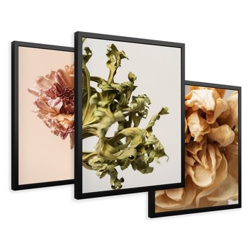 Zestaw obrazy w ramie 50x70 galeria - Suche, kwiaty, boho, minimalizm, płatki - rama czarna