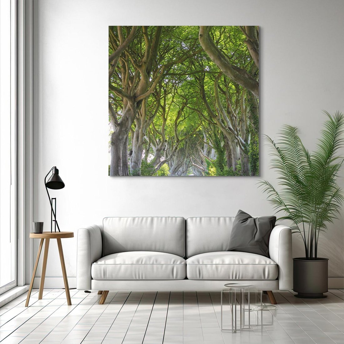 Obraz na płótnie 50x50 - Magiczny Las - drzewa, las