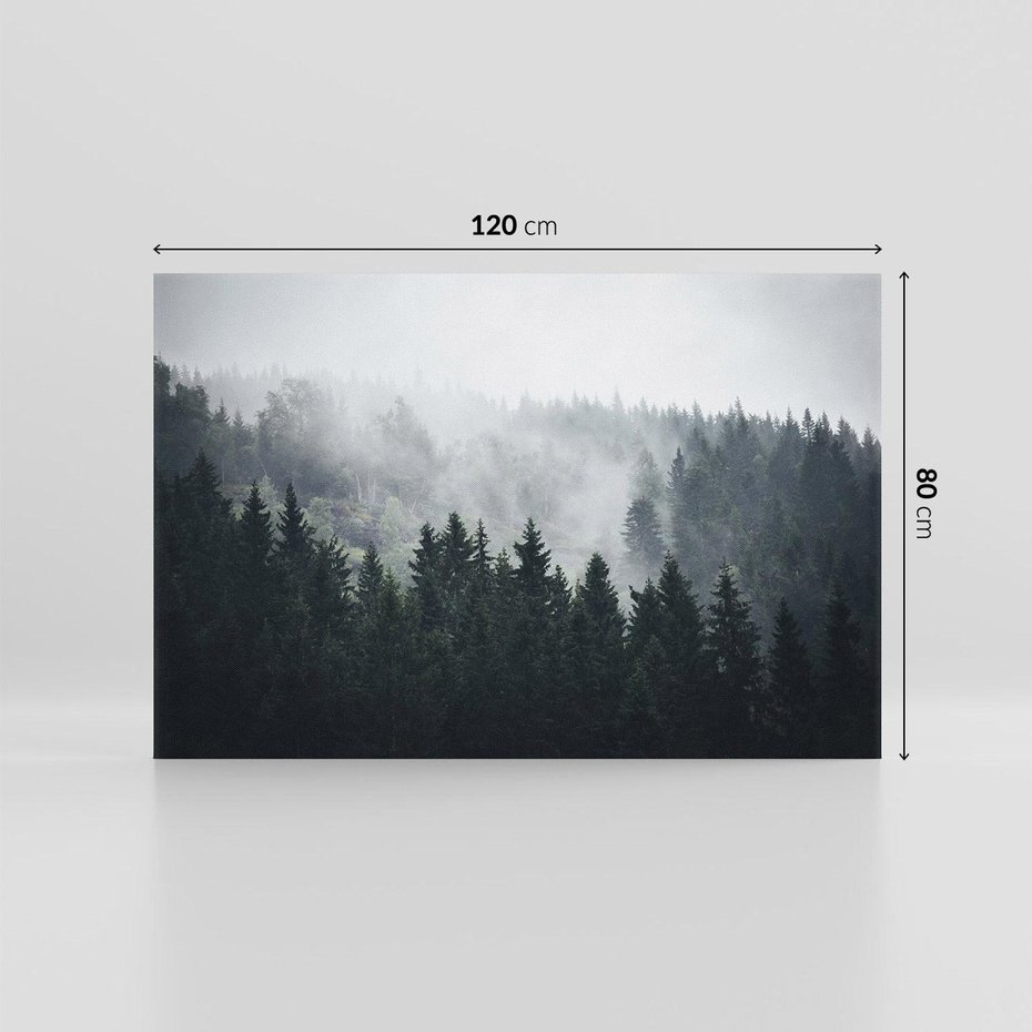 Obraz na płótnie 120x80 - Las w górach: mistyczna mgła - las, góry