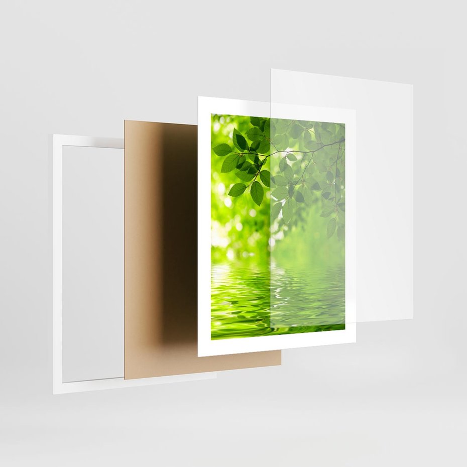 Plakat w ramie 40x50 - Liście w Wodzie - liście, woda - rama biała