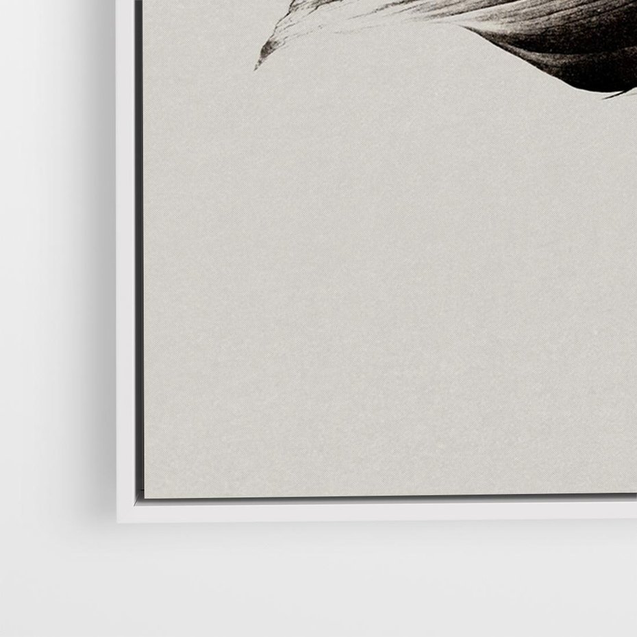Obraz w ramie 70x50 - Szepczący Liść - szkic, czarno biały - rama biała