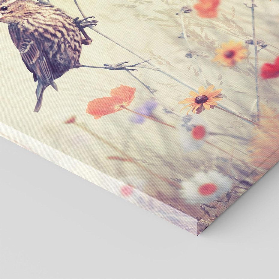 Obraz na płótnie 50x70 - Poranek wśród łąki - ptak, łąka