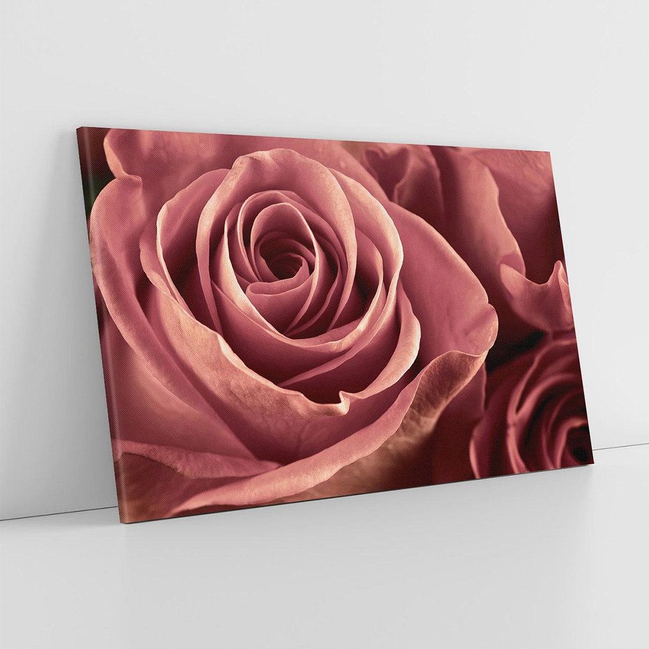 Obraz na płótnie 70x50 - Romantyczna Róż - róża, kwiat