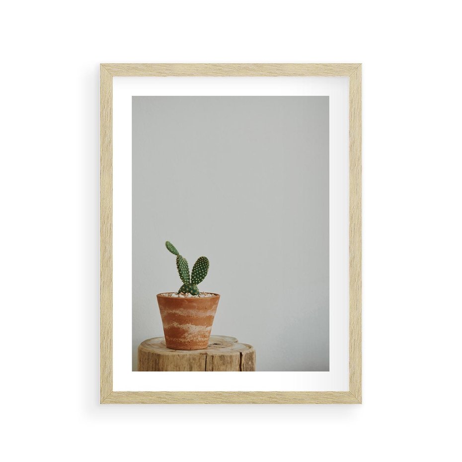 Plakat w ramie 30x40 - Kaktus w Doniczce - minimalizm, kaktur w doniczce - rama drewno