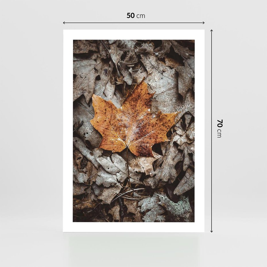 Plakat bez ramy 50x70 - Jesienne Czarowanie - suchy liść, żółty