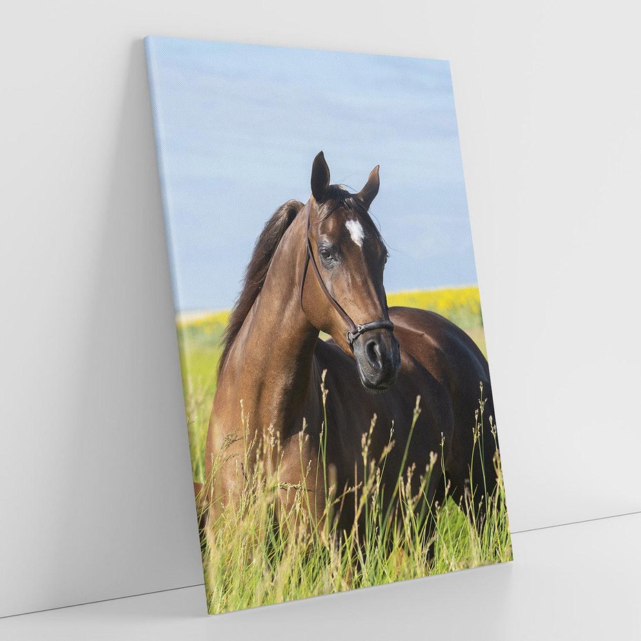 Obraz na płótnie 50x70 - Siła i piękno natury - koń, łąka