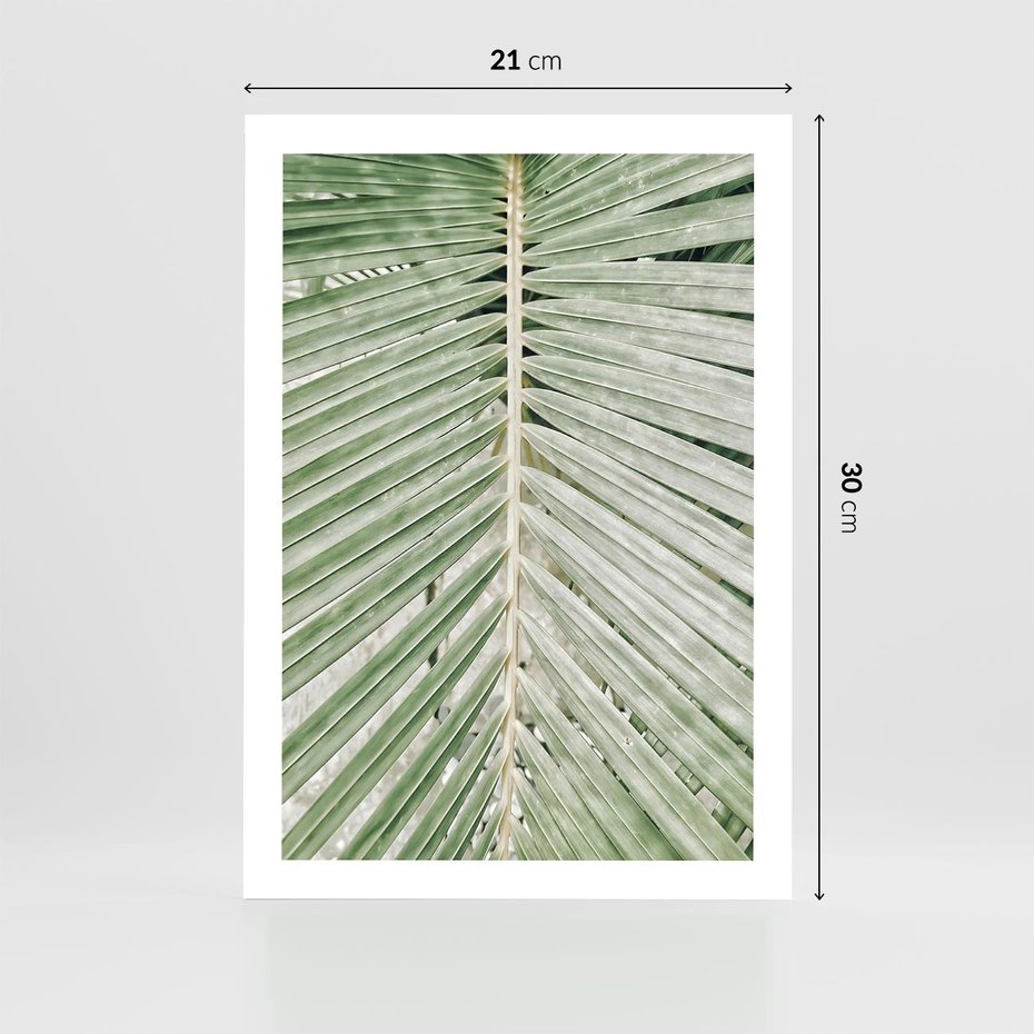 Plakat bez ramy 21x30 - Jasna Zieleń Palmy - liść palmy, zbliżenie