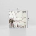 Obraz na płótnie 70x70 - Tekstura Kwiatu - białe kwiaty, duży kwiat