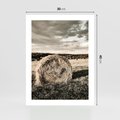 Plakat bez ramy 30x40 - Ciepło Natury - snopki siana, pole