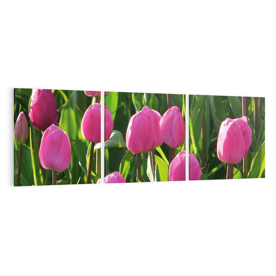 Obraz na płótnie 90x30 - Tulipanowa harmonia - tulipany, kwiaty