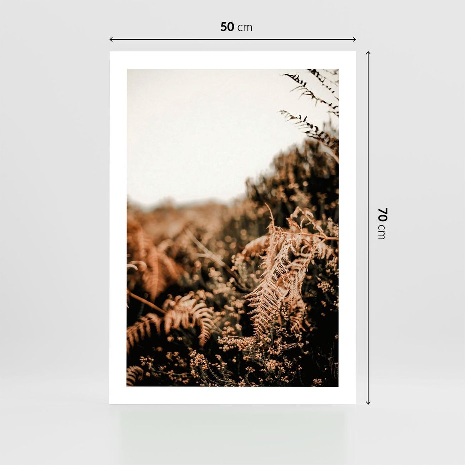 Plakat bez ramy 50x70 - Jesienna Harmonia - suche paprocie, jesienny krajobraz