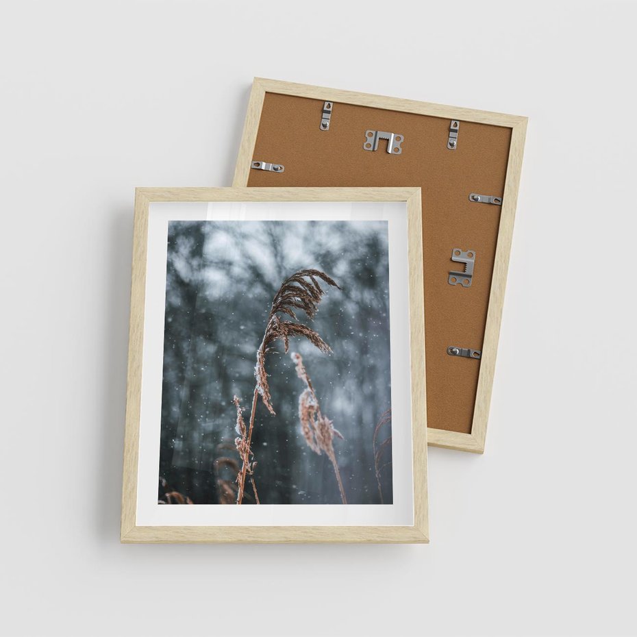 Plakat w ramie 40x50 - Zima na Łonie Natury - sucha wysoka trawa, w zimie - rama drewno