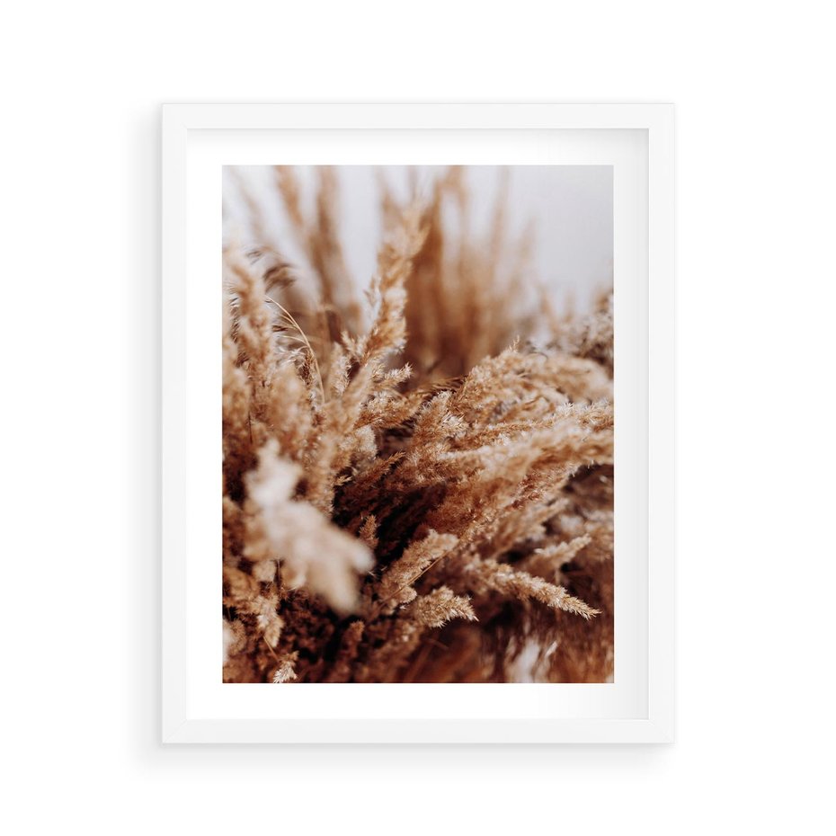 Plakat w ramie 40x50 - Sztuka Suszonych Traw - trawa pampas, suszone trawy - rama biała