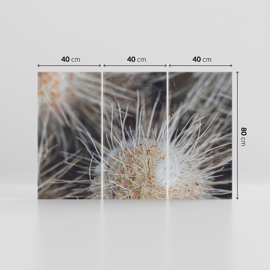 Obraz na płótnie 120x80 - Ulotna Piękność Natury - makro, dmuchawce