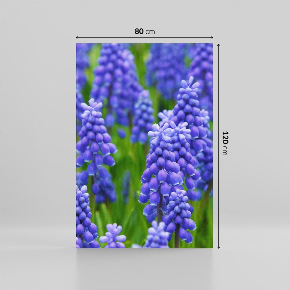 Obraz na płótnie 80x120 - Urok Lawendy - lawenda, kwiat