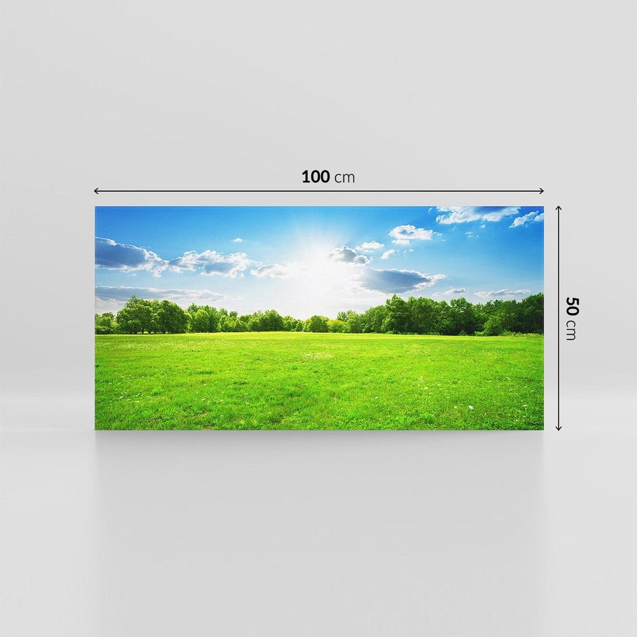 Obraz na płótnie 100x50 - Idylla na łące drzew - łąka, drzewa