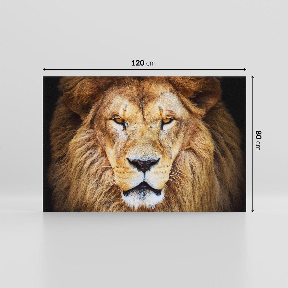 Obraz na płótnie 120x80 - Król zwierząt w majestatycznym stylu - lew, król