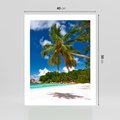 Plakat bez ramy 40x50 - Oaza palm na plaży - palma, plaża