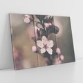 Obraz na płótnie 120x80 - Przemijający Urok - kwitnąca, wiśnia