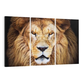 Obraz na płótnie 120x80 - Król zwierząt w majestatycznym stylu - lew, król