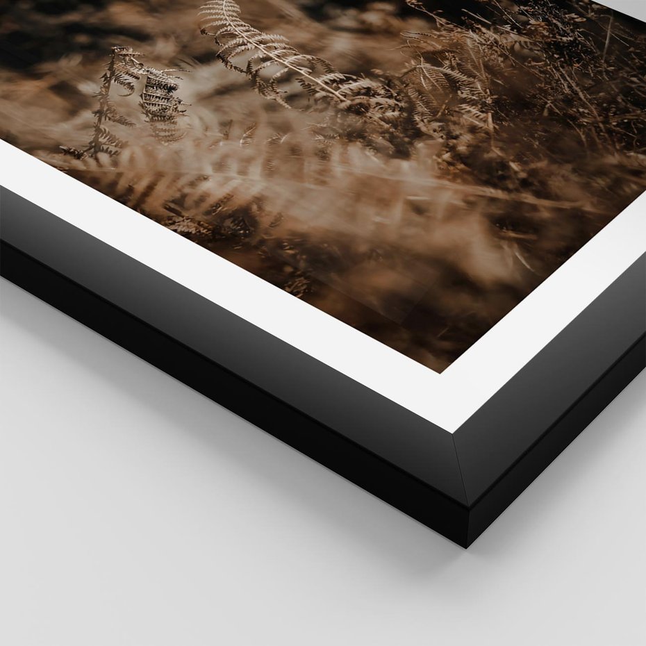 Plakat w ramie 30x40 - Delikatne Detale - paprocie, brąz - rama czarna