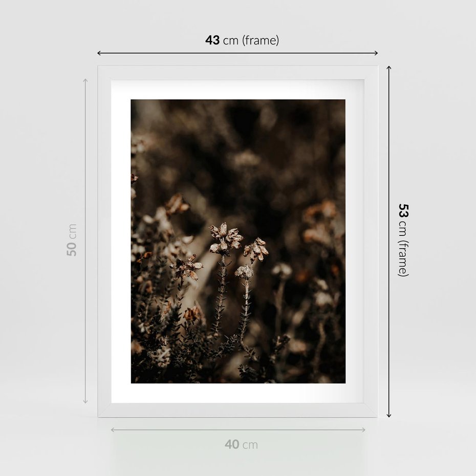 Plakat w ramie 40x50 - Jesienny Urok - suche trawy, jesienny pejzaż - rama biała