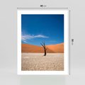Plakat bez ramy 40x50 - Słońce i Suche Drzewo - pustynia, suche