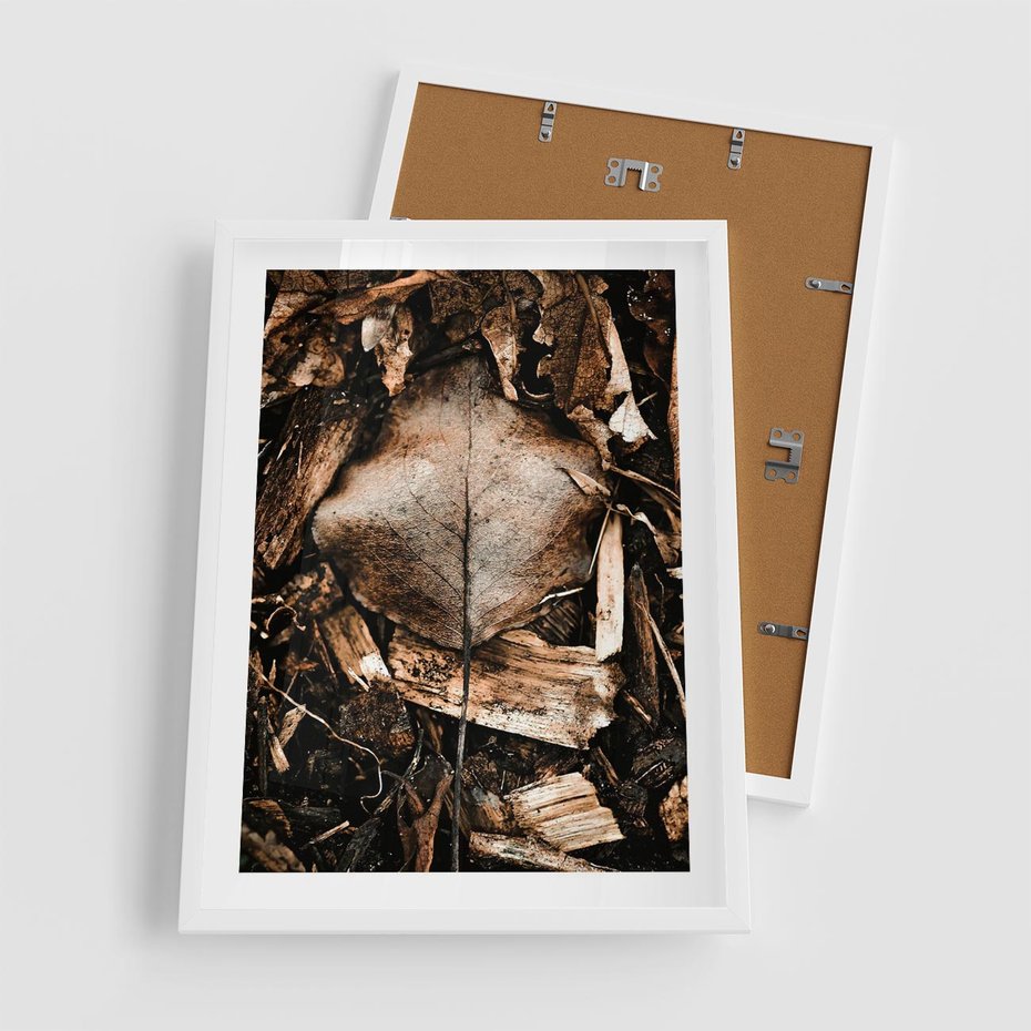 Plakat w ramie 50x70 - Samotny Liść - liść, brąz - rama biała