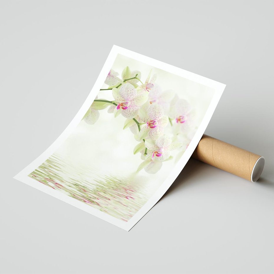 Plakat bez ramy 21x30 - Orchidea w Spa - orchidea, kwiaty