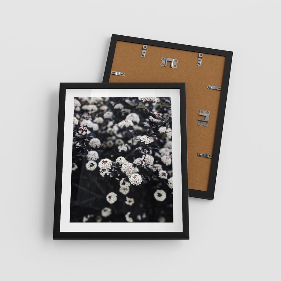 Plakat w ramie 40x50 - Białe Kwiaty na Kwitnącym Krzewie - białe kwiaty, kwitnący krzew - rama czarna