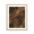Plakat w ramie 40x50 - Szlachetna Suchość Traw - trawy, suche trawy - rama drewno