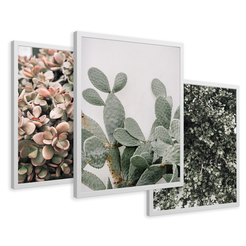 Zestaw obrazy w ramie 50x70 galeria - Rośliny, liście, kaktusy - rama biała