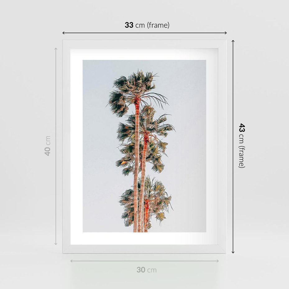 Plakat w ramie 30x40 - Kształty Palm - palmy, zdjęcie - rama biała