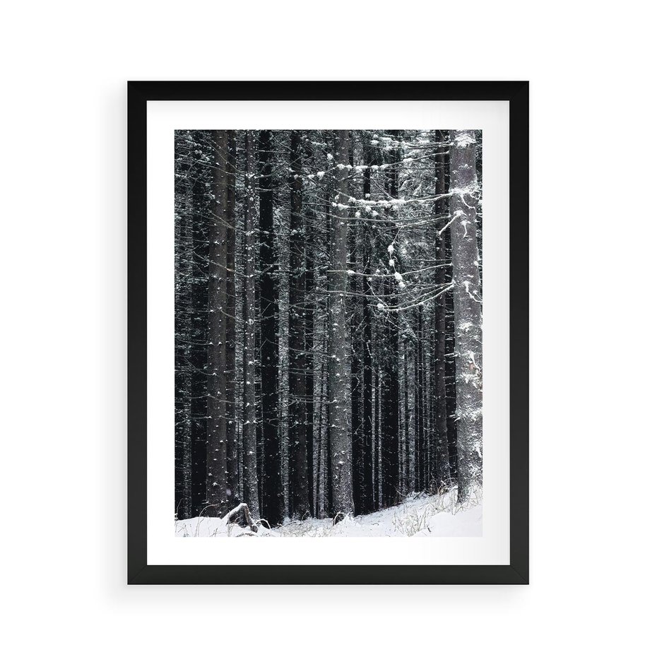 Plakat w ramie 40x50 - Leśna Cisza: Malowniczy Pejzaż Zimą - las zimą, ośnieżone pnie drzew - rama czarna