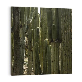 Obraz na płótnie 70x70 - Wyjątkowy Klimat Boho - kaktusy, pustynia