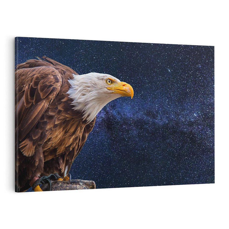 Obraz na płótnie 100x70 - Orzeł w niebieskiej przestrzeni - orzeł, ptak