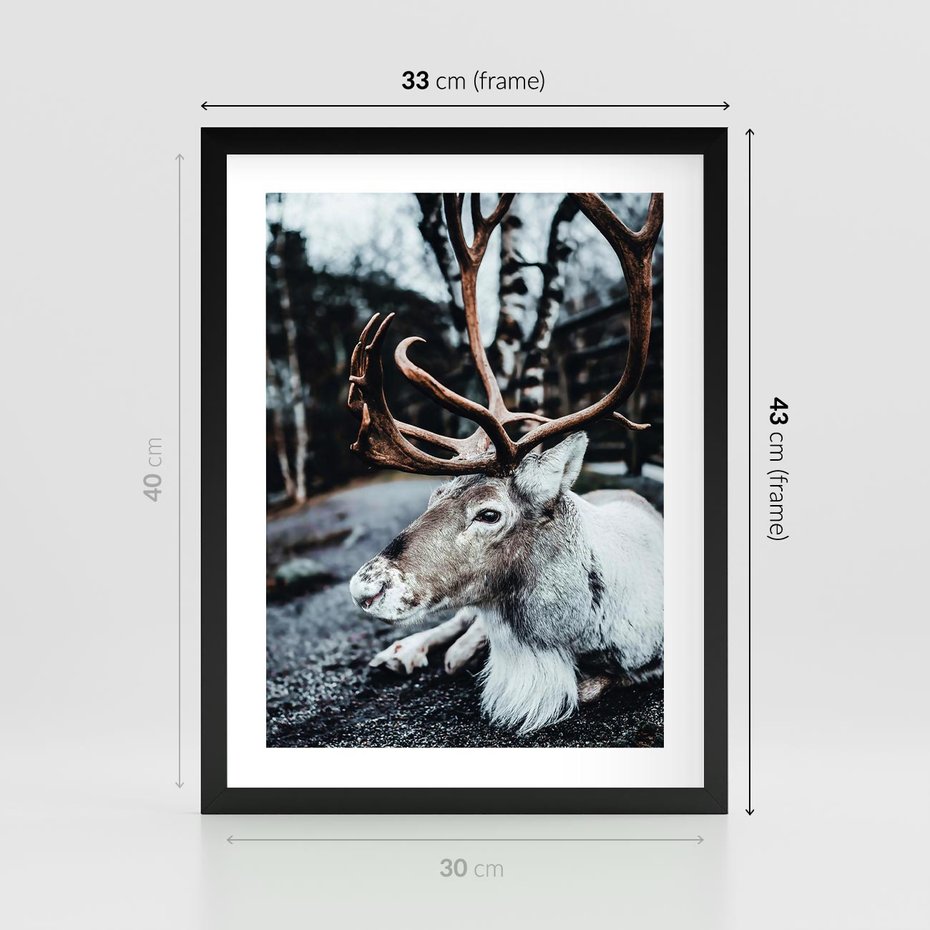 Plakat w ramie 30x40 - W Zimowej Krainie - renifer, zima - rama czarna