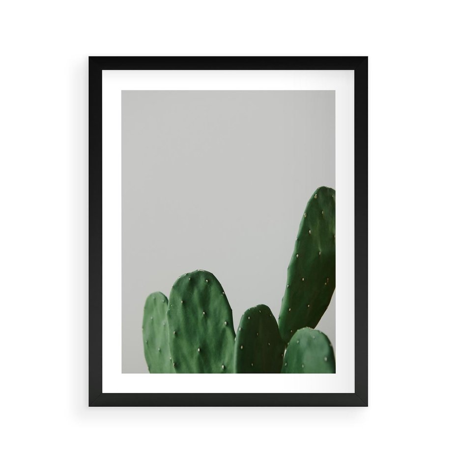 Plakat w ramie 40x50 - Majestatyczne Wysokości - kaktusy, liście - rama czarna