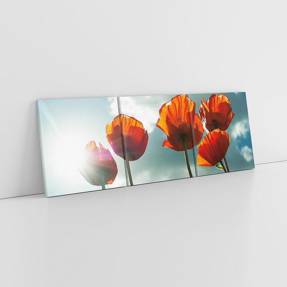 Obraz na płótnie 120x40 - Kwiaty pod niebem: piękno natury - kwiaty, niebo