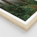 Plakat w ramie 50x70 - Mgliste Marzenia - artystyczna fotografia, las - rama drewno